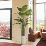 8' Bird of Paradise Tree in Modern Gray Planter - Image 3