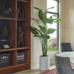 8' Bird of Paradise Tree in Modern Gray Planter - Image 4