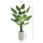 8' Bird of Paradise Tree in Modern Gray Planter - Image 5