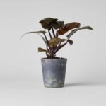 Basic Planter, Grey Patina - Image 6