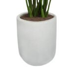 8' Bird of Paradise Tree in Modern Gray Planter - Image 8