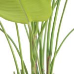 8' Bird of Paradise Tree in Modern Gray Planter - Image 7