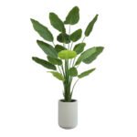8' Bird of Paradise Tree in Modern Gray Planter - Image 11