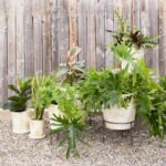 Wrought Iron Planter Stand - Image 7