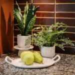 Elegant 16" Faux Snake Plant And Fern Set In Cream Pot - Lifelike Decor For Home Or Office - Image 2