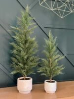 Set of 2 – 24" Lifelike Artificial Cedar Trees in Elegant Cream Pots for Home and Office Decor - Image 5