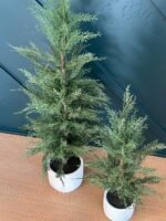 Set of 2 – 24" Lifelike Artificial Cedar Trees in Elegant Cream Pots for Home and Office Decor - Image 7