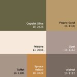 Myrtle Avenue Traditional Olive/Medium Brown Area Rug - Galey Alix Livabliss - Image 10