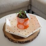 Hexagon Tray Kit - Image 5