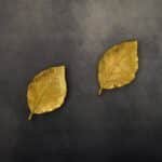 Set of 2 Golden Leaf Wall DÃ©cor Gold, Small