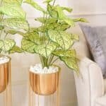 Golden Planter With Stand, Set of 2 - Image 2