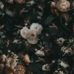 Dark Background Cream Floral Wallpaper - Image 2