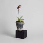 Basic Planter, Grey Patina - Image 12