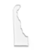 Delaware State Plate - Image 5