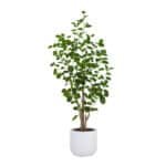 4' Lifelike Faux Potted Eucalyptus Tree in Chic Pot for Elegant Home Decor