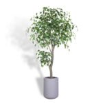 Artificial Ficus Tree with Artisan Planter