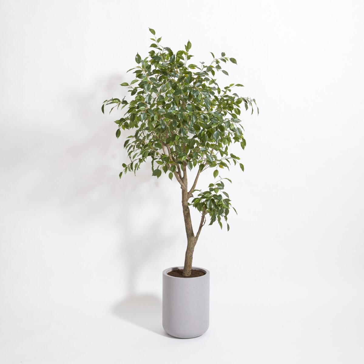 Artificial Ficus Tree with Artisan Planter - Image 7