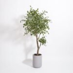 Artificial Ficus Tree with Artisan Planter - Image 7