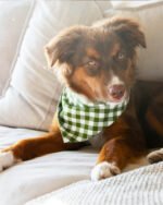 GINGHAM BANDANA - Image 17