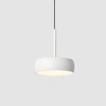 Fionn Pendant Light