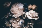 Large Dark Peony Mural Wallpaper - Image 3