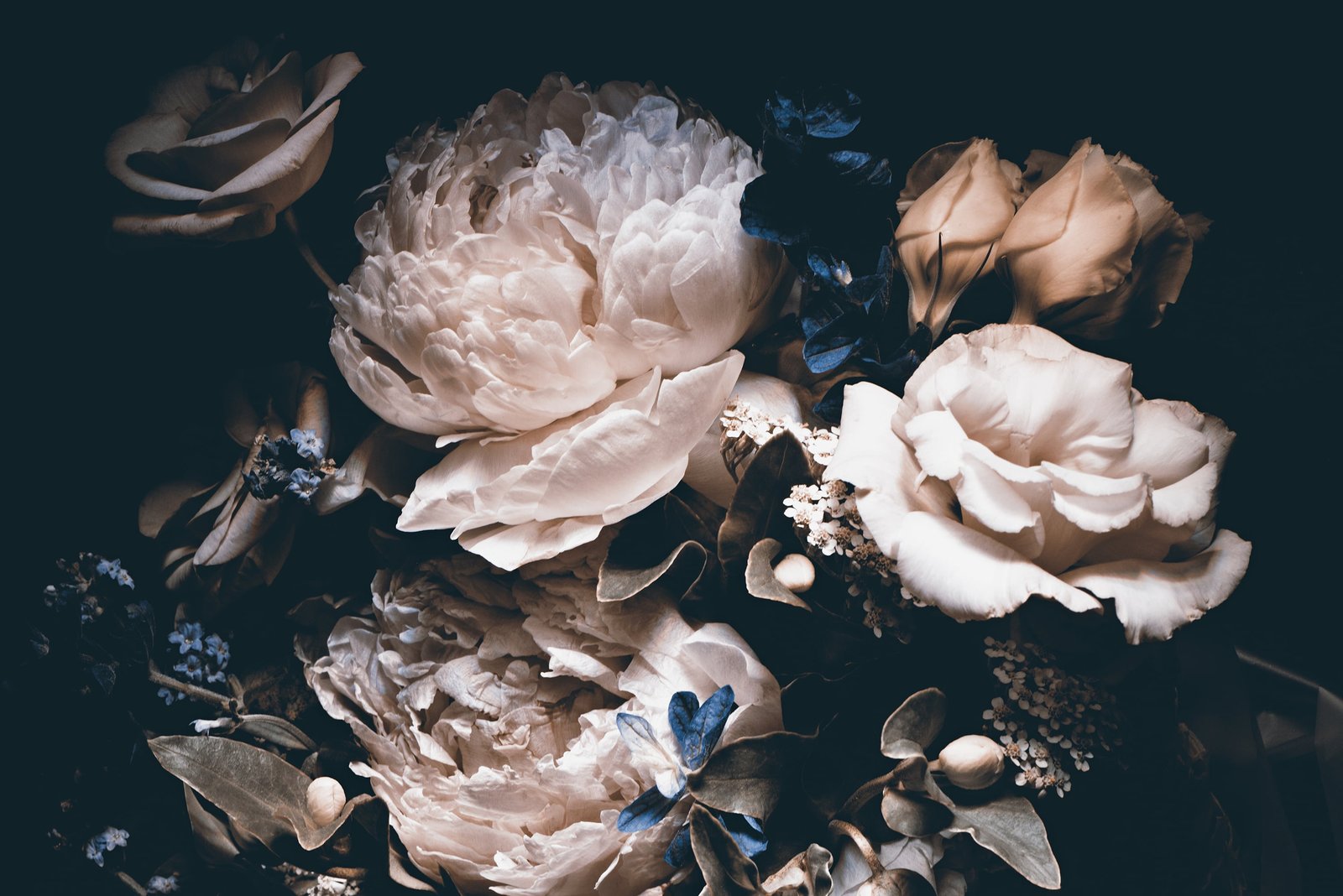 Large Dark Peony Mural Wallpaper - Image 3