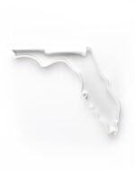 Florida State Plate - Image 5