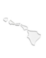 Hawaii State Plate - Image 5