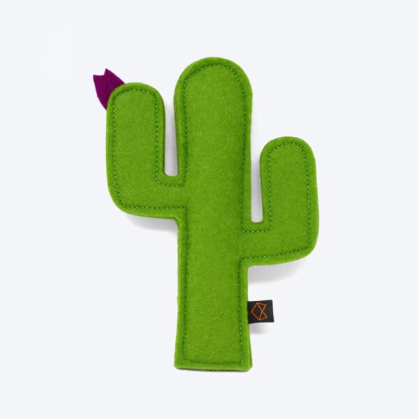 KITTY CACTUS