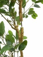 7' Lifelike Faux Citrus Lemon Tree with Lush Green Leaves for Home and Office Decor - Image 10