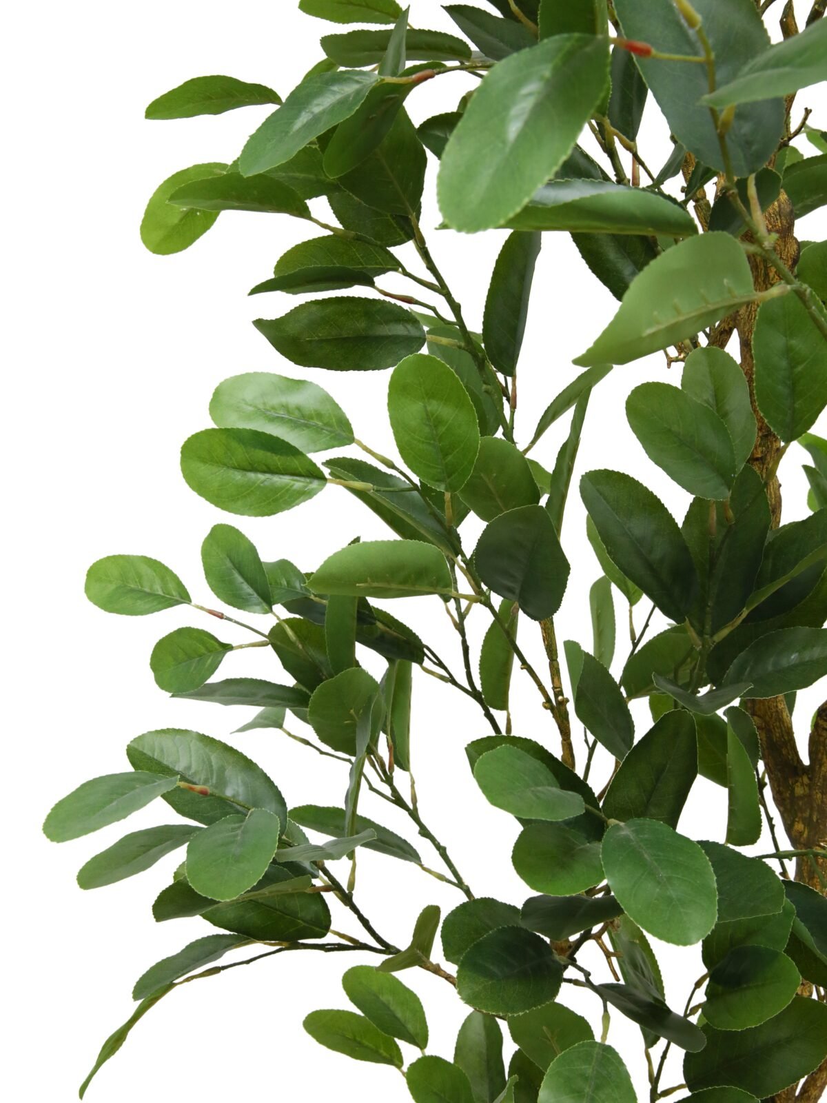 7' Lifelike Faux Citrus Lemon Tree with Lush Green Leaves for Home and Office Decor - Image 8