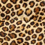 Luxury Leopard Animal Print Peel and Stick Wallpaper - Image 2