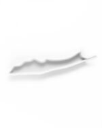 Long Island Plate - Image 4