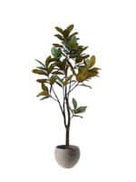 7' Lifelike Artificial Magnolia Tree in Black Grower Pot - Timeless Nature-Inspired Home Decor - Image 8