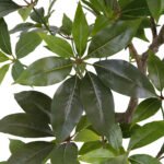 7' Lifelike Faux Potted Money Tree - Elegant Home Decor for Modern Interiors - Image 3