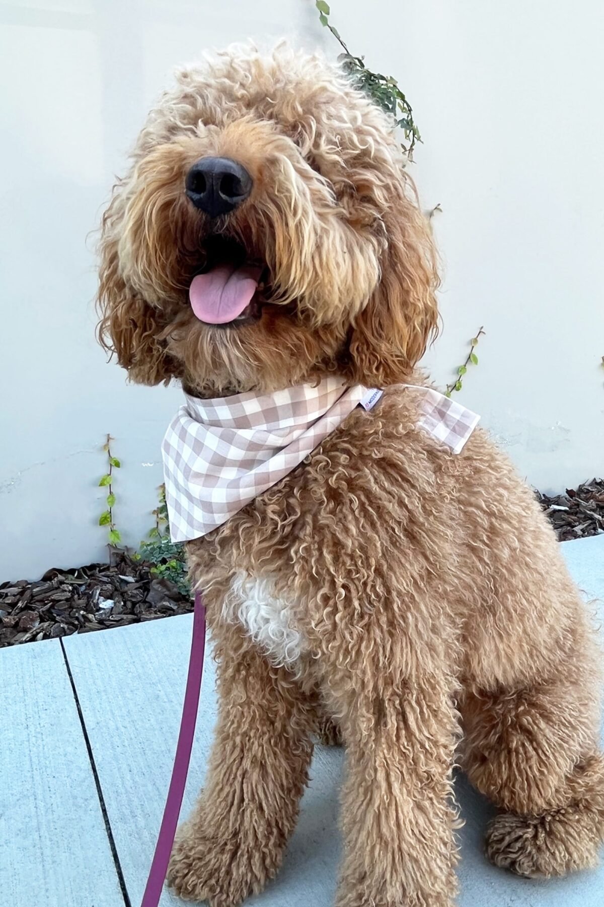 GINGHAM BANDANA - Image 21