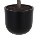 CG Hunter 6.5' Lifelike Faux Olive Tree in Sleek Black Pot – Elegant Home Decor - Image 5
