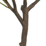 CG Hunter 6.5' Lifelike Faux Olive Tree in Sleek Black Pot – Elegant Home Decor - Image 4