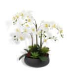 Lifelike 2' Tall Artificial Orchid Plant with Succulents in Modern Grey Pot for Elegant Home Decor