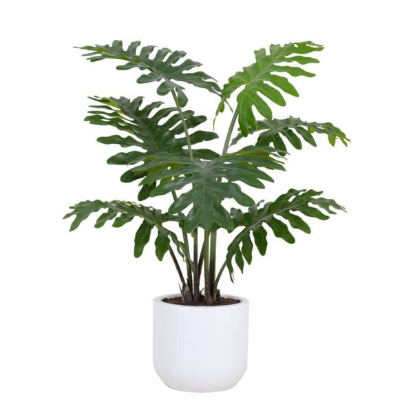 CG Hunter 3' Lifelike Faux Potted Philodendron - Elegant Home Decor Accent Plant