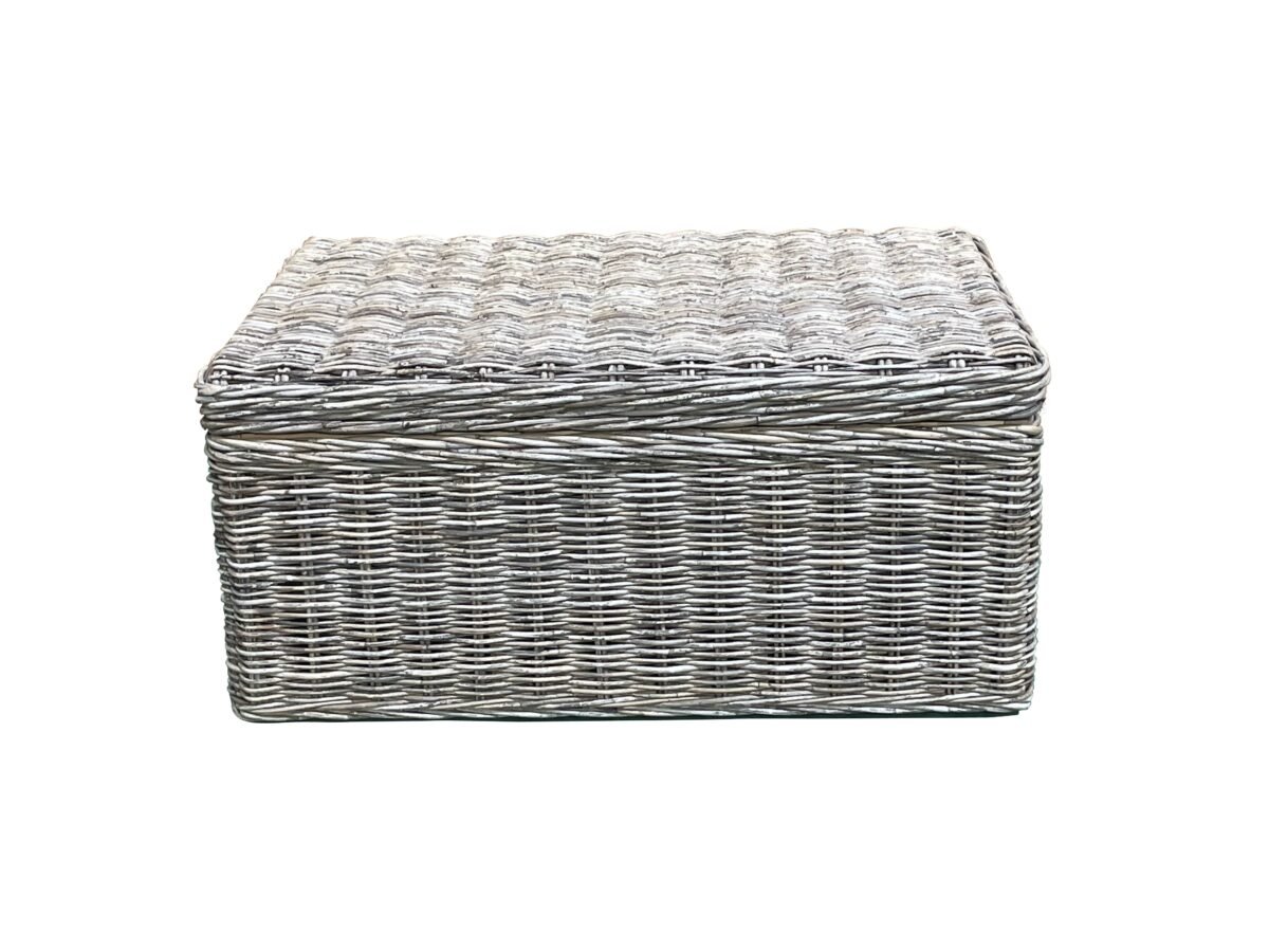 Blakely Coffee Table Trunk - Image 1