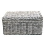 Blakely Coffee Table Trunk