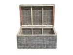 Blakely Coffee Table Trunk - Image 3