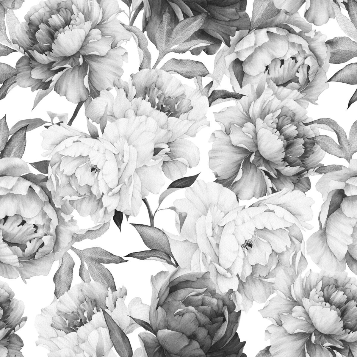 Black and White Peony Wallpaper - Image 2