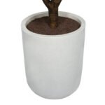 5' Rubber Ficus Tree in Modern Gray Planter - Image 6