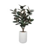 5' Rubber Ficus Tree in Modern Gray Planter - Image 8