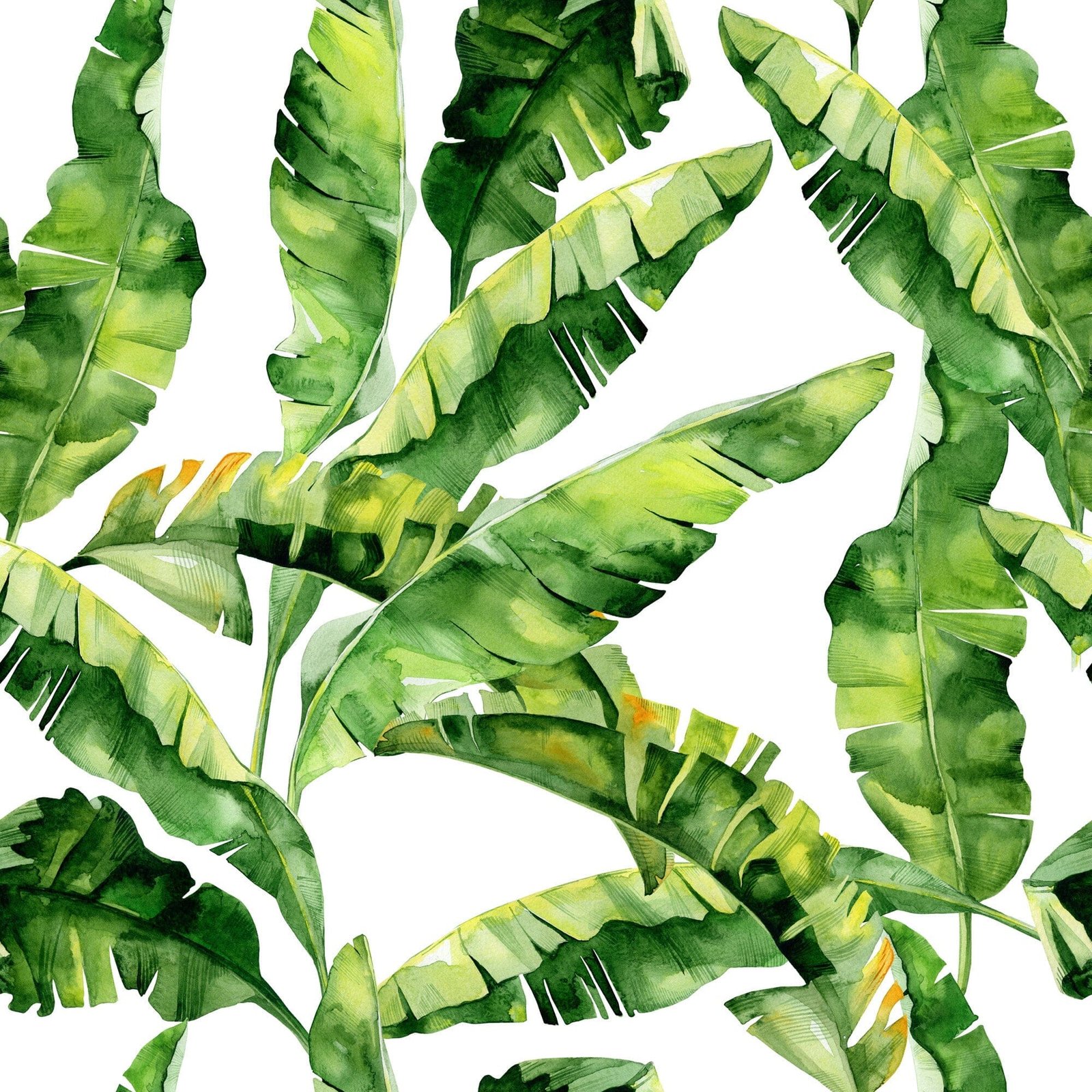 Green Tropical Leaf Wallpaper - Image 2