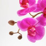 25" Lifelike Artificial Pink Double Stem Orchid in Modern Grey Pot - Elegant Home Decor - Image 3