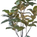 7' Lifelike Artificial Magnolia Tree in Black Grower Pot - Timeless Nature-Inspired Home Decor - Image 3