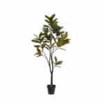 7' Lifelike Artificial Magnolia Tree in Black Grower Pot - Timeless Nature-Inspired Home Decor - Image 13